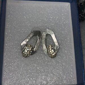 Elegant Silver and Gold Earrings